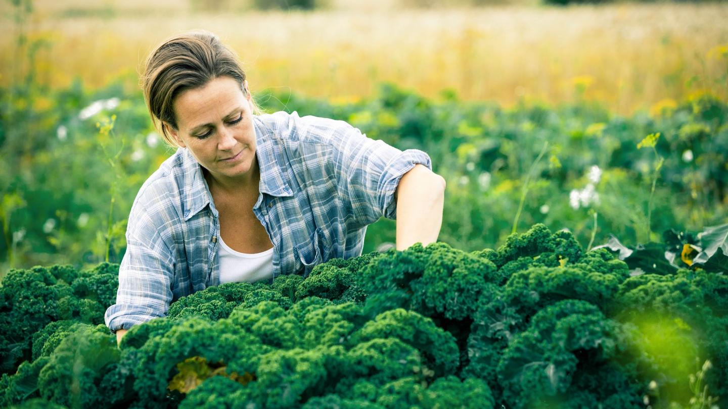 Kvinna sittande i grönsaksodling