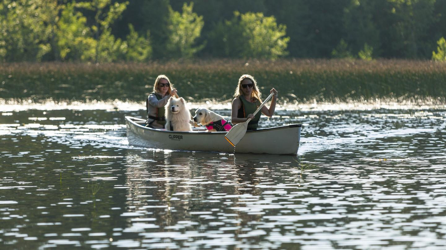 Två kvinnor i kanot som är ute och paddlar.
