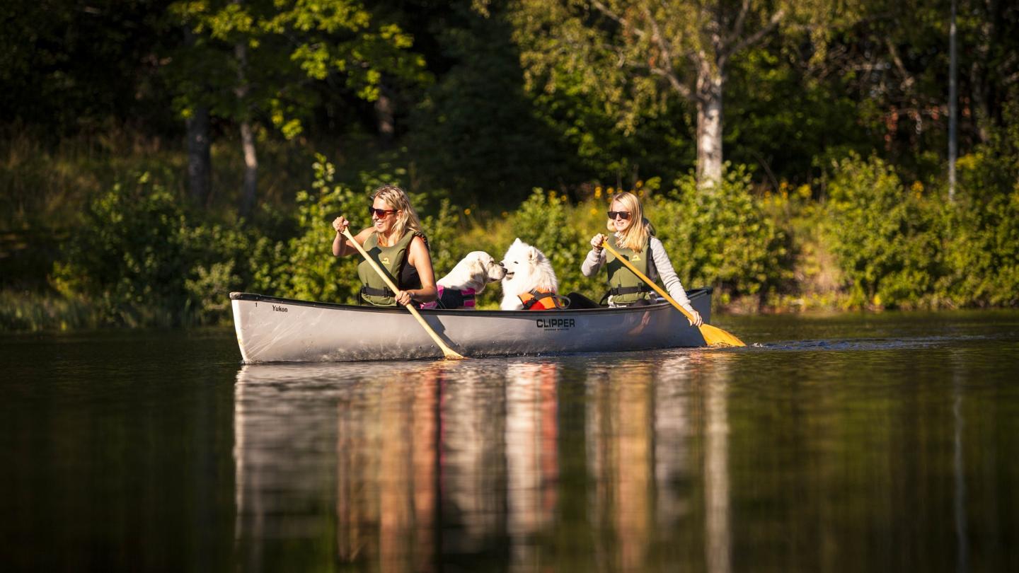 Två paddlande personer i kanot med hundar.
