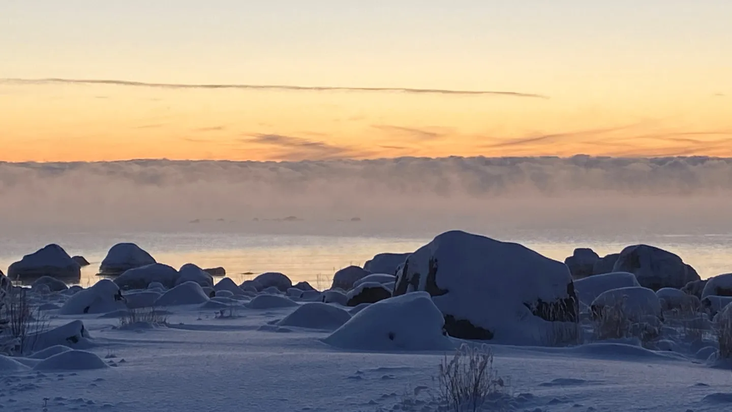 Färgbild - vintersol vid kusten