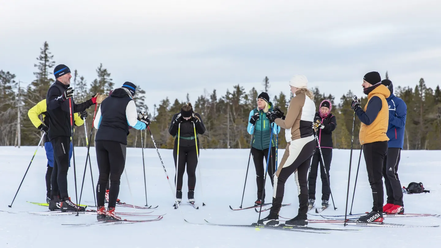 Färgbild - grupp med längdskidåkare i vinterlandskap
