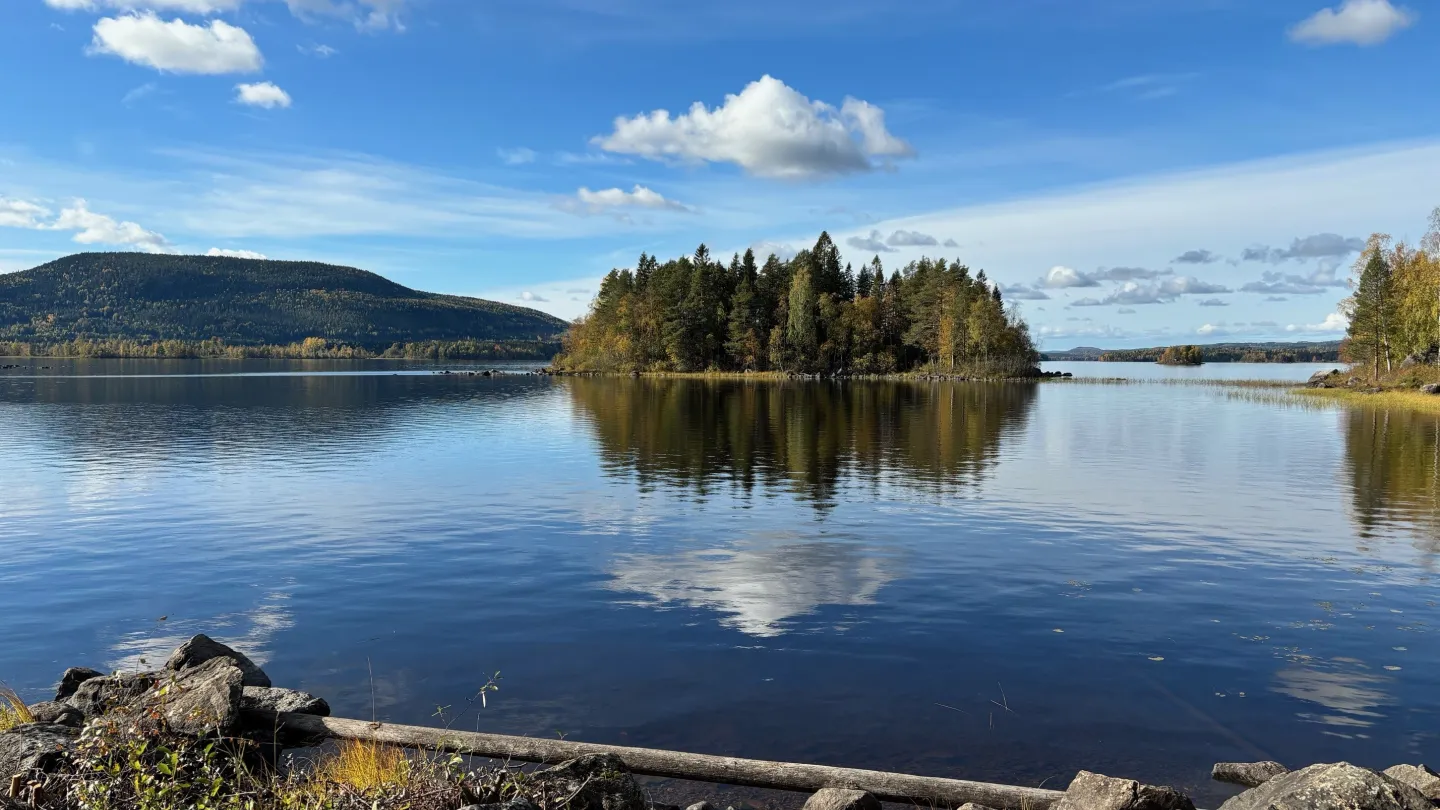 Färgbild - vy över Hasselasjön med omgivande skogar i höstskrud.