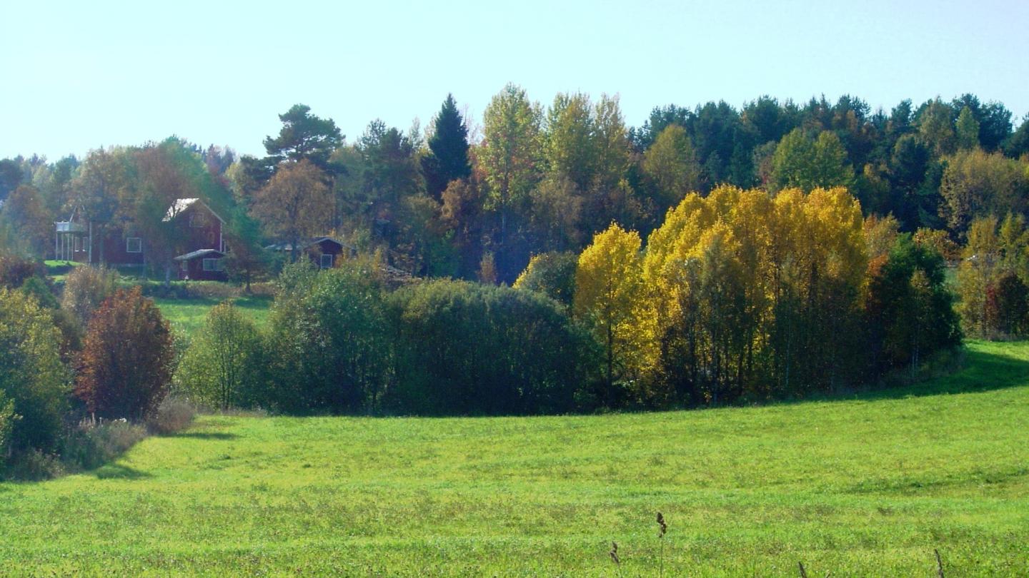 Utsiktsbild - höstfärger i träd och åkermark