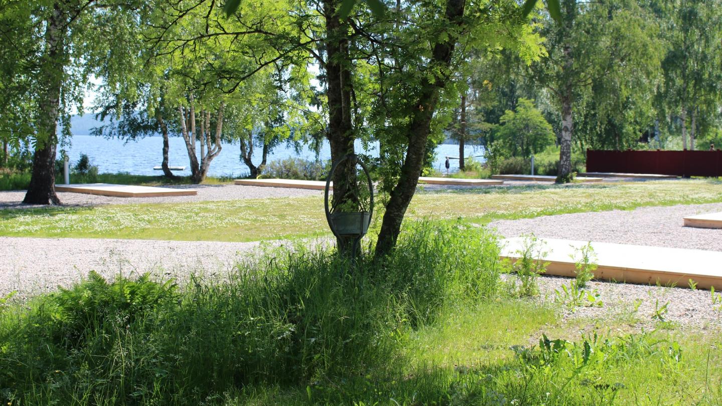 Ställplatser på Sagaliden i Bergsjö, med träd i förgrunden och Storsjön i bakgrunden.