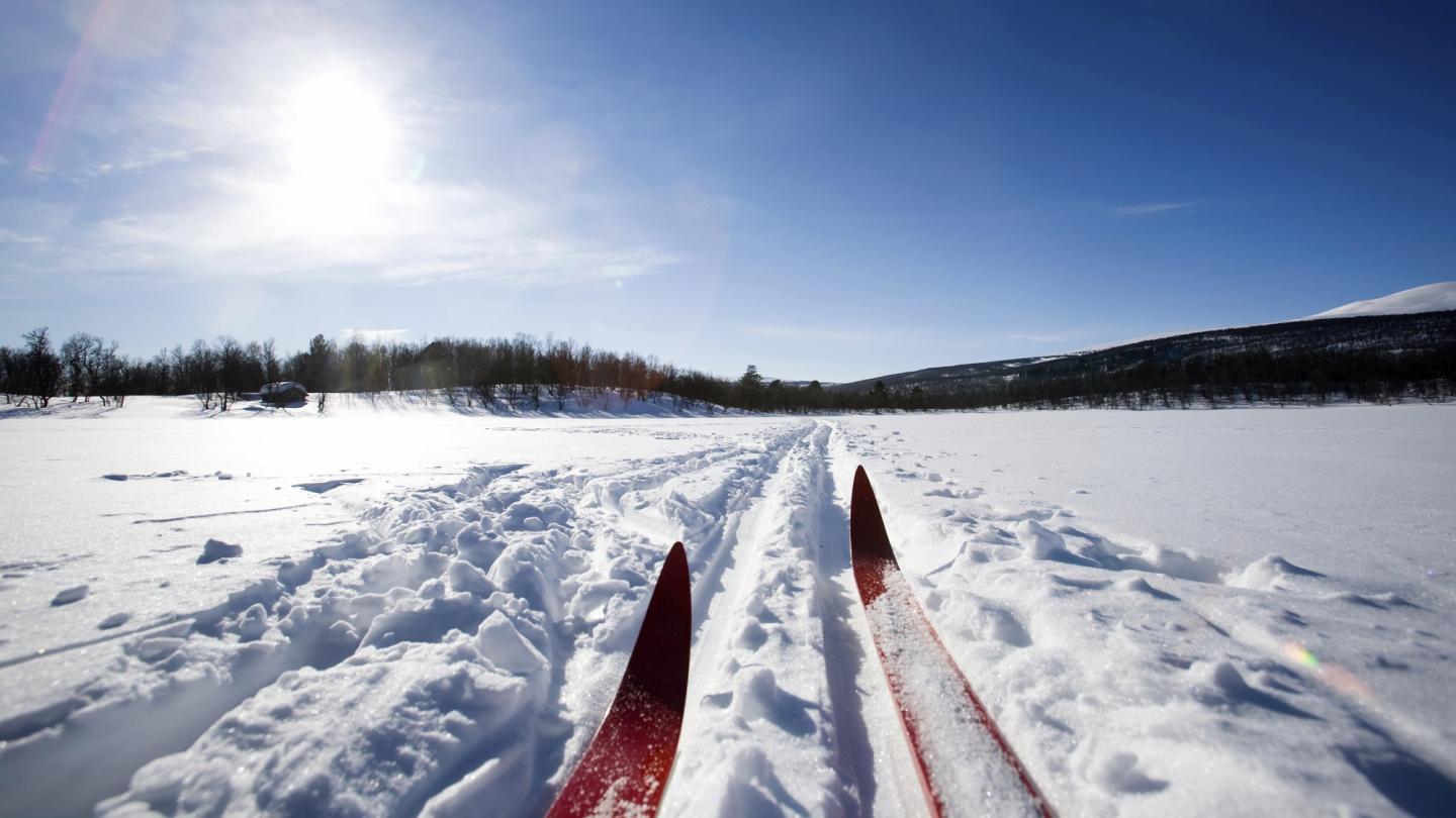 Skidor i närbild på väg i skidspår i vinterlandskapet.