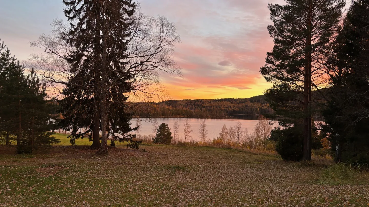 Colour picture - nature in it´s autumn colours at sunset.