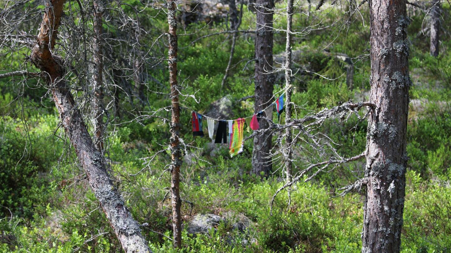 Småtrollens kläder hängande på en torklina mellan träden i Trolska Skogen